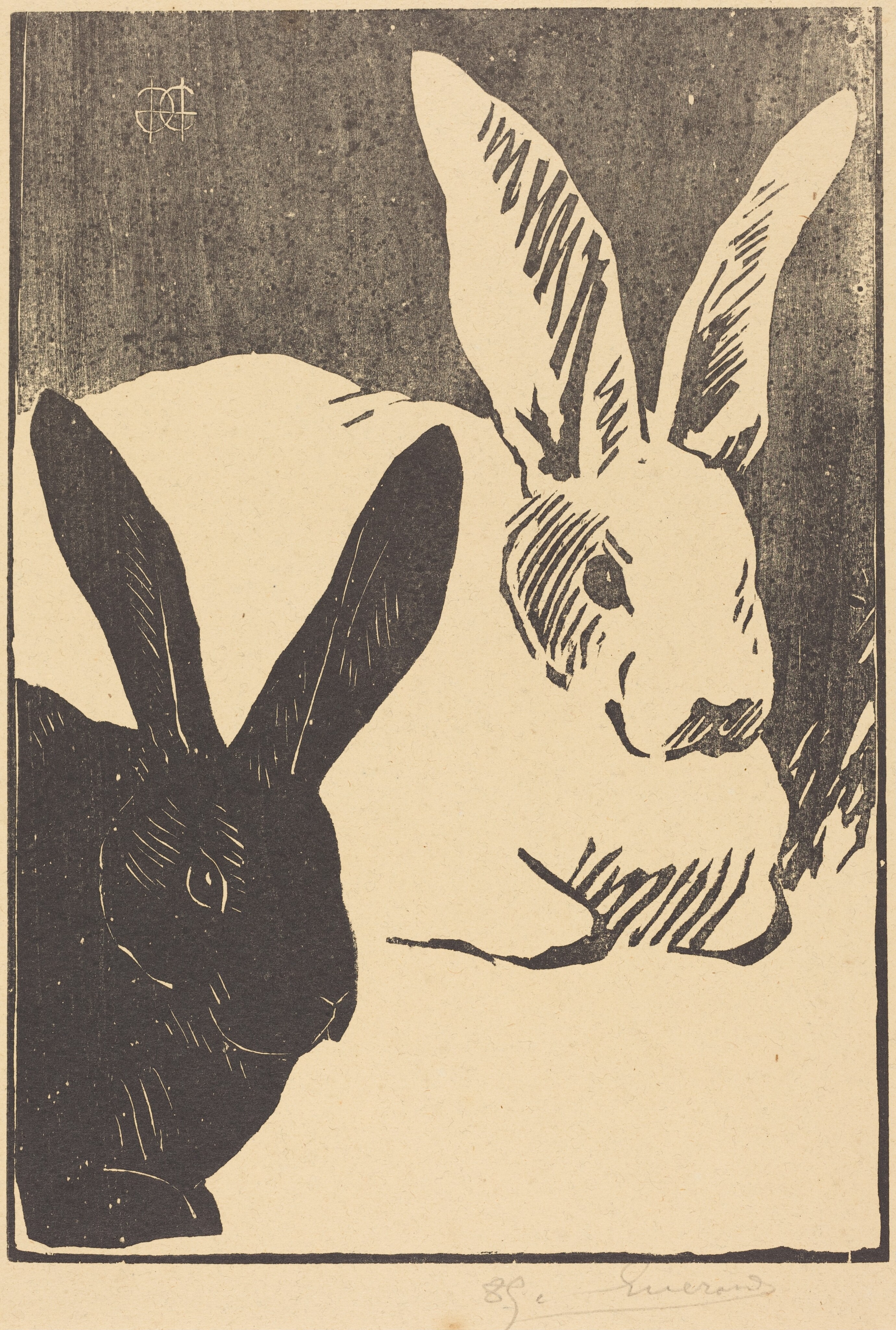 Two rabbits, one white and one black, sitting together